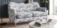 Capri Safari Sketch 2 Seater  Upholstered Sofa 
