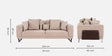 Capria 3 Seater Sofa In Brown Colour 