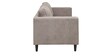 Caprice 2 Seater Sofa in Steel Grey colour