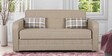 Caroline Pull-Out Sofa Cum Bed in Beige Colour