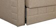 Caroline Pull-Out Sofa Cum Bed in Beige Colour