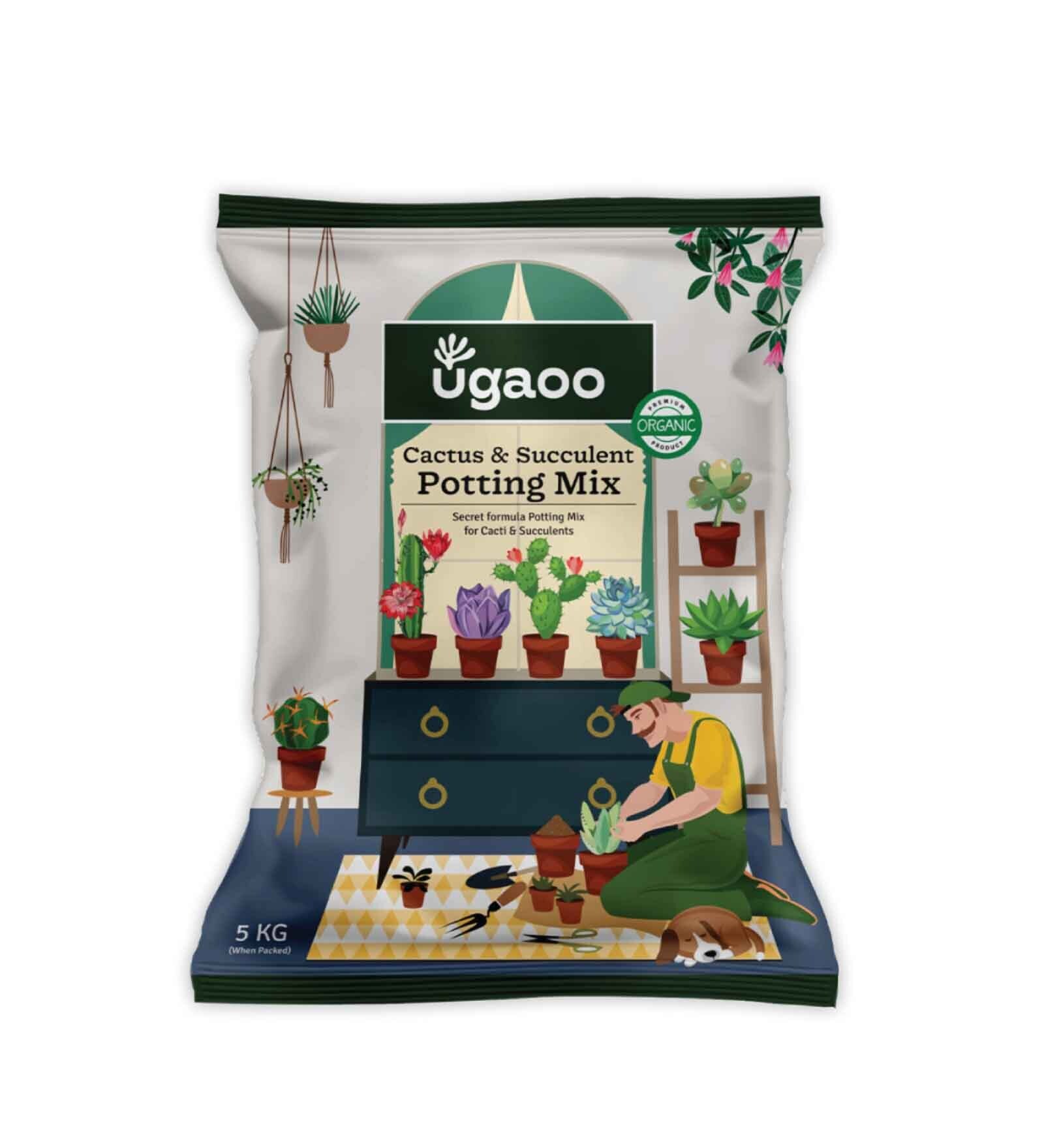 Cactus & Succulent Potting Mix