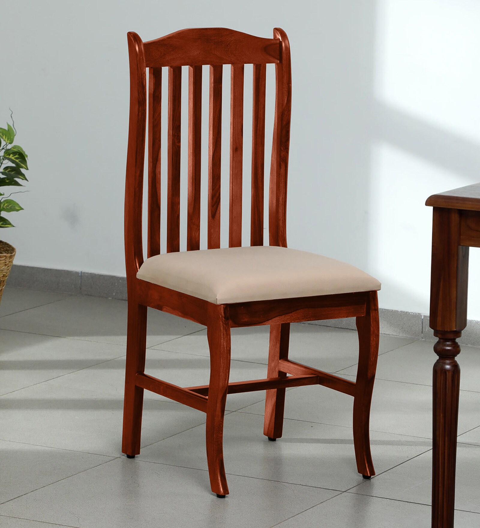 Calvo Sheesham Wood Dining Chair In Honey Oak Finish (Set Of 2)
