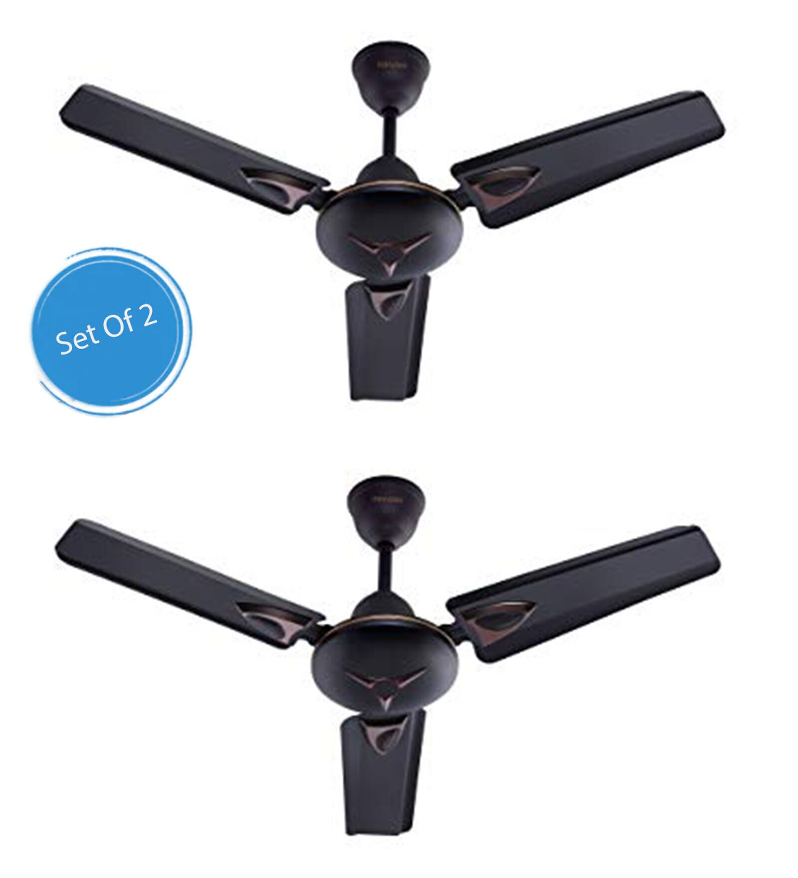 Candes Amaze 900mm /36 inch High Speed Anti-dust Decorative 5 Star Rated Ceiling Fan (AmazeB2CC)