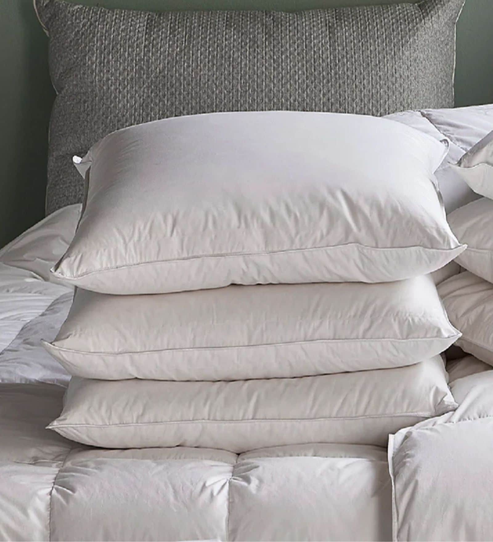 Caroline Medium Goose Down Pillow 27x19 Inches for Back and Comination Sleepers