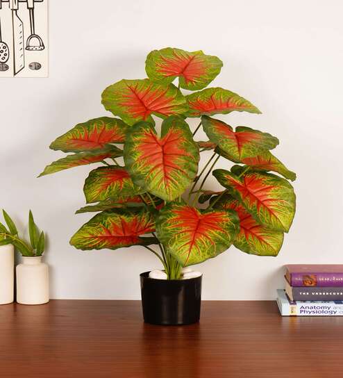 Artificial Caladium Plant with Black Pot 65Cm
