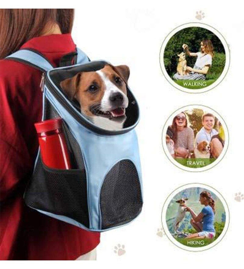 Buy Carrier Backpack in Blue & Black Colour By Emily Pets Online