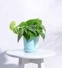 Cadet Blue Ceramic Desk Pot