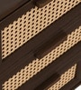Caelum 2-Door Sideboard With Rattan Mesh Front In Walnut Finish