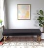 Cairo Bench In Black Colour