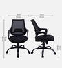 Fuku Ergonomic Chair With Lumbar Support  In Black Colour