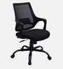 Fuku Ergonomic Chair With Lumbar Support  In Black Colour