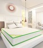 Dual Comfort Cairo Single Bed Mattress With High Density Foam 78 X 42 X 6 Inches