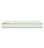 Dual Comfort Cairo Single Bed Mattress With High Density Foam 78 X 42 X 6 Inches