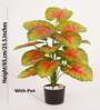 Artificial Caladium Plant with Black Pot 65Cm