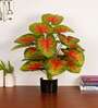 Artificial Caladium Plant with Black Pot 65Cm