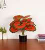 Artificial Calathea Plant 55Cm