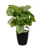 Calathea Multicolour Plastic & Polyester Artificial Plant With Pot