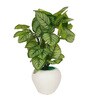 Calathea Multicolour Plastic & Polyester Artificial Plant With Pot