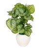 Calathea Multicolour Plastic & Polyester Artificial Plant With Pot