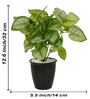 Calathea Multicolour Plastic & Polyester Artificial Plant With Pot