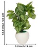 Calathea Multicolour Plastic & Polyester Artificial Plant With Pot