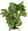 Calathea Multicolour Plastic & Polyester Artificial Plant With Pot