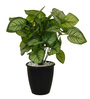 Calathea Multicolour Plastic & Polyester Artificial Plant With Pot