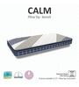 CALM Reversible 8 Inches Orthopedic Bonnell Spring Pillow Top With ISPT Technology King Size Mattress