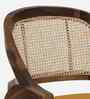 Calvary Sheesham Wood Arm Chair In Scratch Resistant Provincial Teak Finish with Cane Mesh