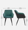 Calvessa Elegant Armchair In Green Colour
