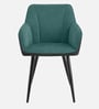 Calvessa Elegant Armchair In Green Colour
