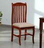 Calvo Sheesham Wood Dining Chair In Honey Oak Finish (Set Of 2)
