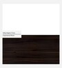 Calypso 2 Door Wardrobe in Milky Maple Dual Tone Finish