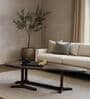 Camaro Coffee Table In Brown Colour