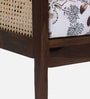 Cambrai Sheesham Wood Arm Chair In Walnut Finish