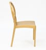 Cambridge Plastic Chairs in Gold Finish (Set Of 2)
