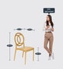 Cambridge Plastic Chairs in Gold Finish (Set Of 2)