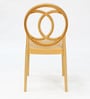 Cambridge Plastic Chairs in Gold Finish (Set Of 2)