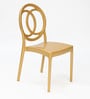 Cambridge Plastic Chairs in Gold Finish (Set Of 2)