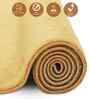 Camel Solid Polyester 4x6 Feet Machine Made Carpet