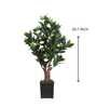 Camellia Rose Artificial Plant (White & Green)