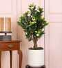 Camellia Rose Artificial Plant (White & Green)
