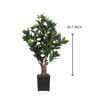 Camellia Rose Artificial Plant (White & Green)