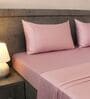 Cameo Rose 400TC  Solid Embroidery Superking Bedsheet with 2 Pillow Covers