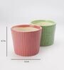 Camouflage Green And Rose Pink Ceramic Textured Planter, Set of 2