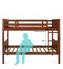Canary Bunk Bed in Dark Oak Finish