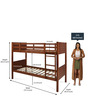 Canary Bunk Bed in Dark Oak Finish