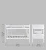 Canary Solid Wood  Bunk Bed in White Finish