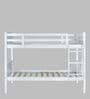 Canary Solid Wood  Bunk Bed in White Finish